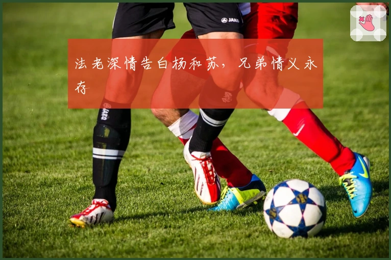 法老深情告白杨和苏，兄弟情义永存